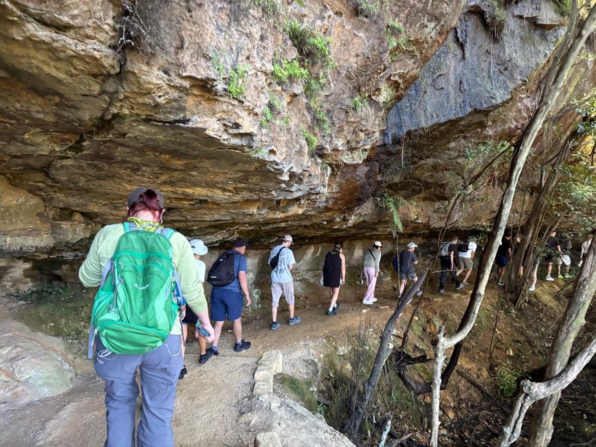 Blue Mountains