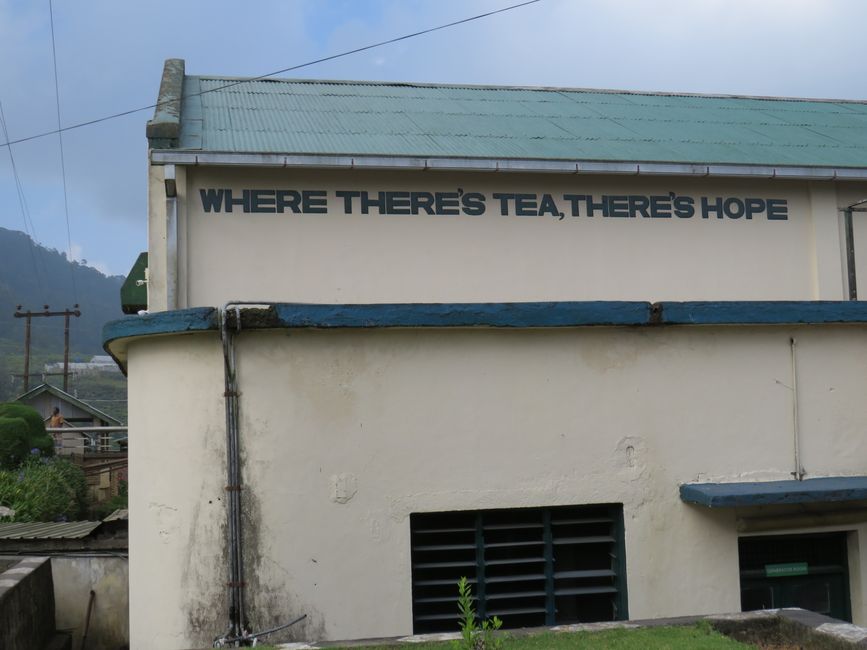 Nuwara Eliya - Dans les Highlands