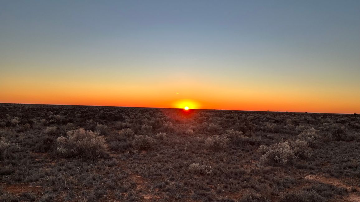 Nullarbor - Welcome to the Outback 🦘