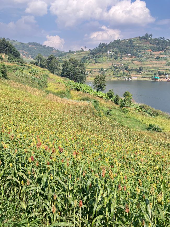 Lago Bunyonyi