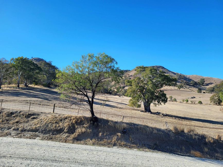 Tanunda, Barossa Valley