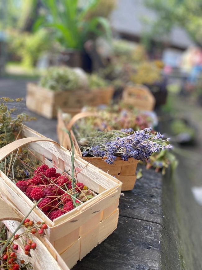 Spreewald like in the old days – A rewarding trip to Lehde