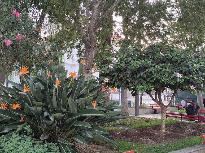 Tavira und der Cemitério de Âncoras