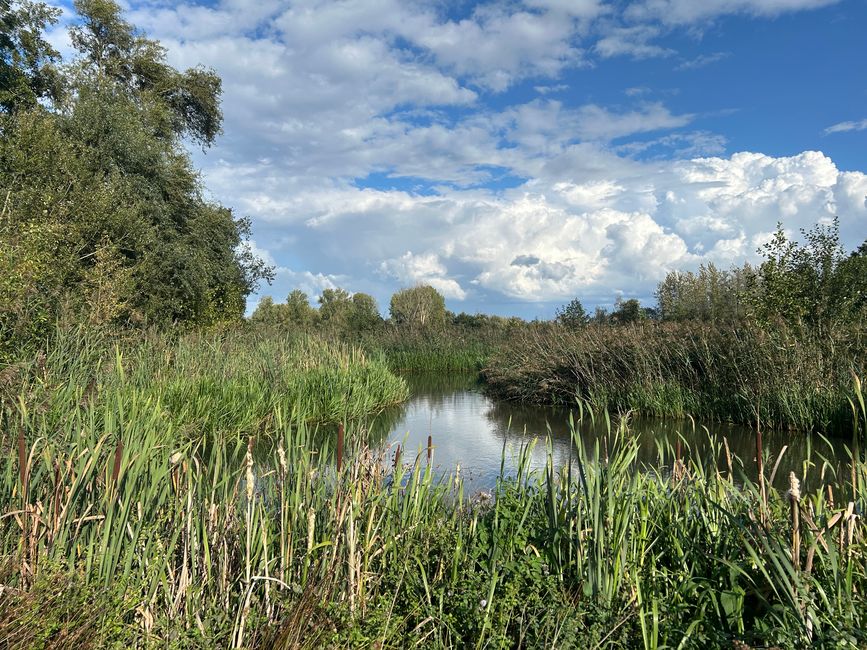 Tag 8: Schoten - Hunsel Teil 2
