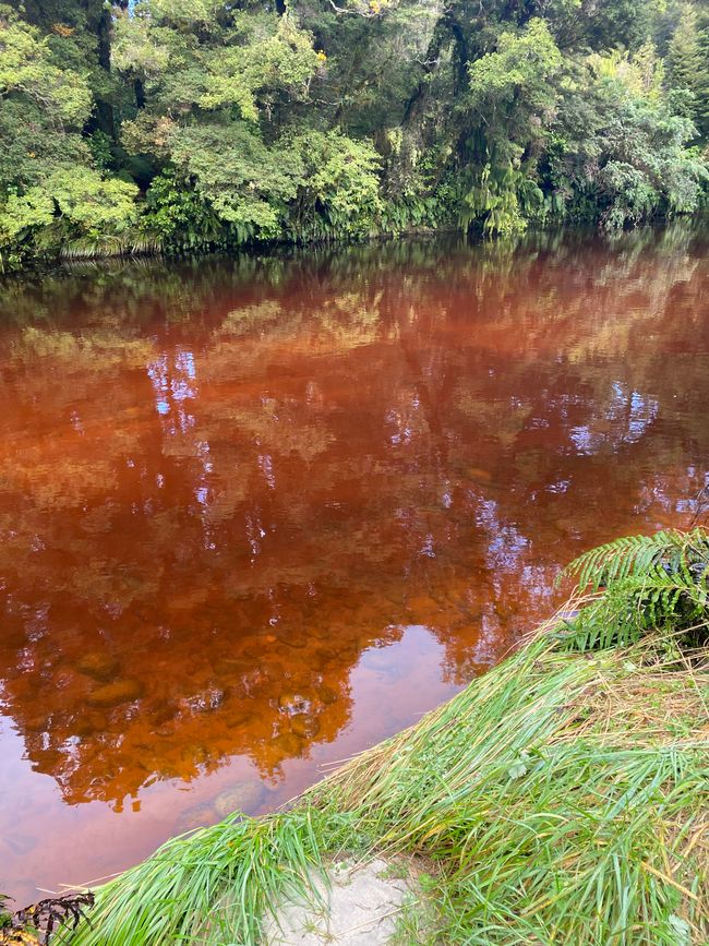 Verso Karamea