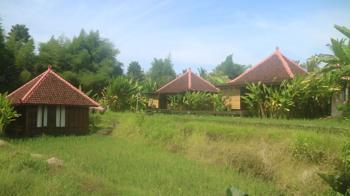 Tagelalang – Ubud – Bali – Indonesia