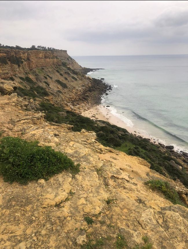 Falaise