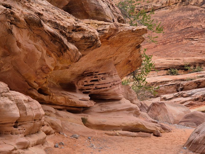 White Domes Trail