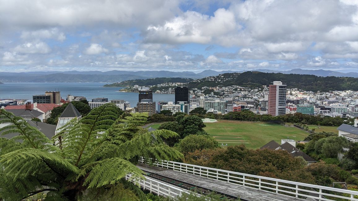 Wellington