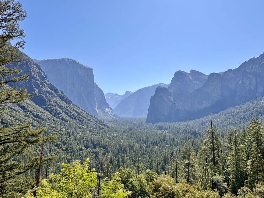 Tunnel View