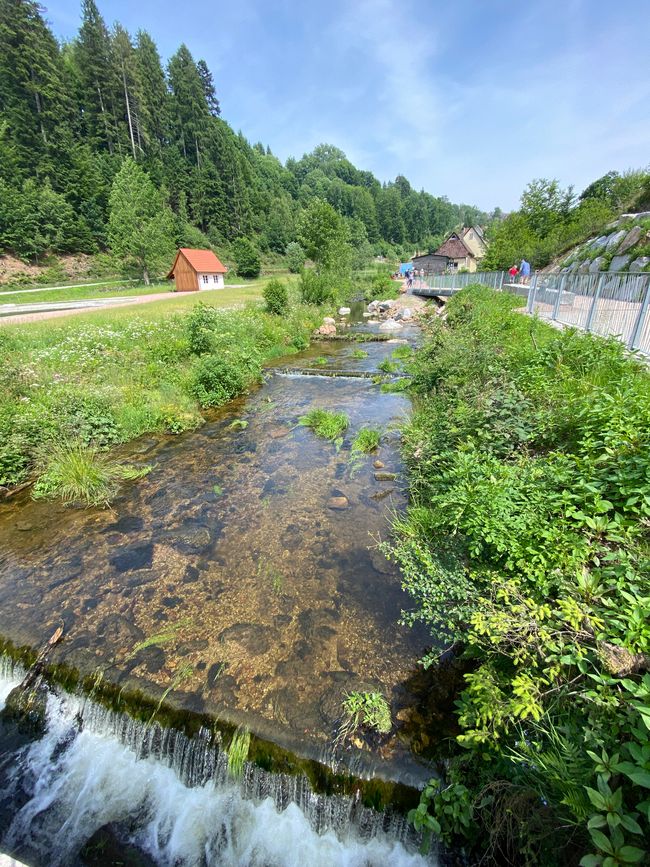 Der Forbach -