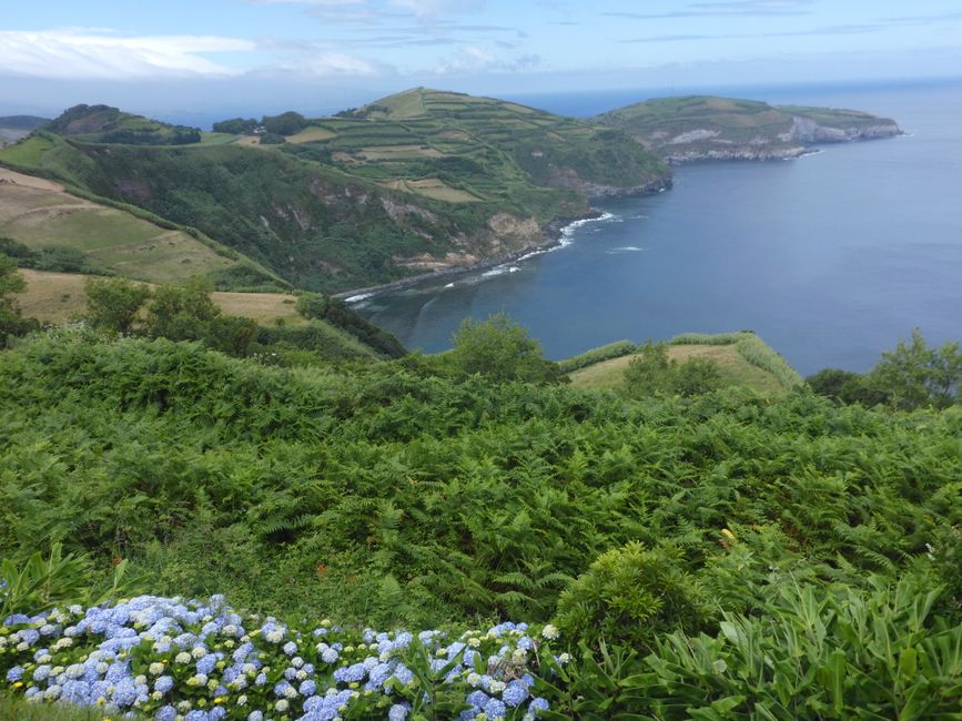 2025-07-12 Azoren, Ponta Delgada