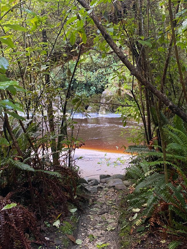 Verso Karamea