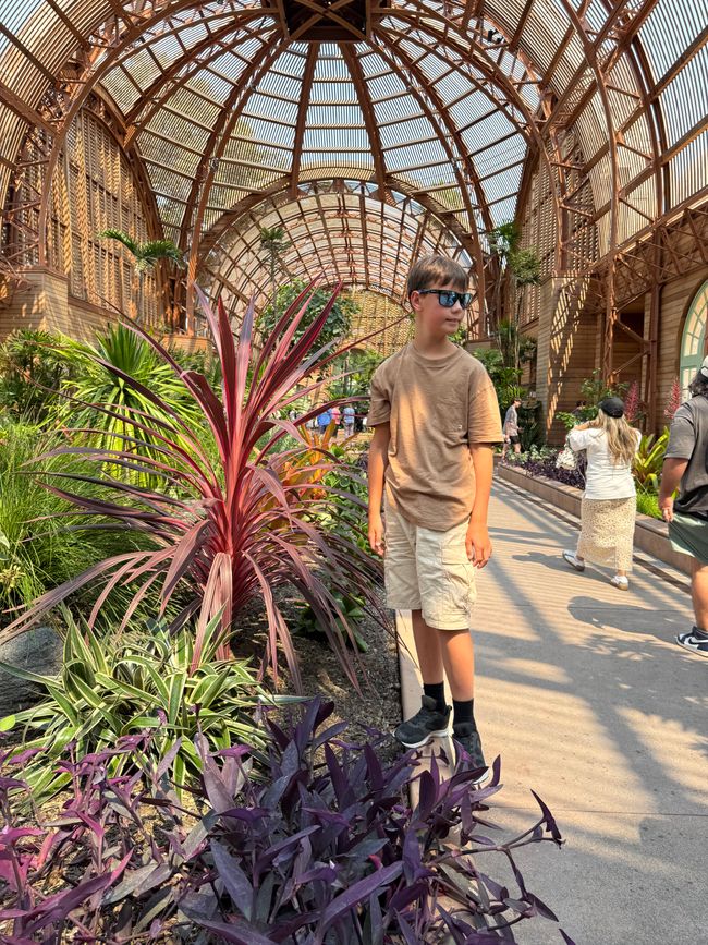 Vincent 10 år & Balboa park 