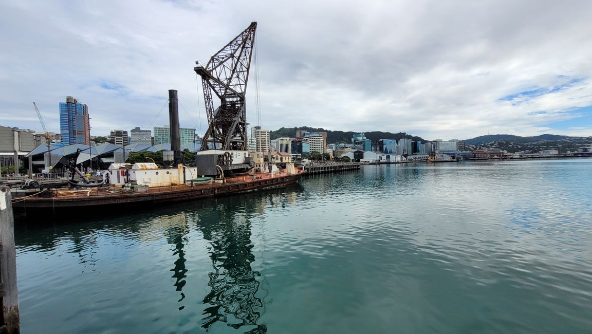 29 janvier - 27 février 2025 Nouvelle-Zélande
17 février