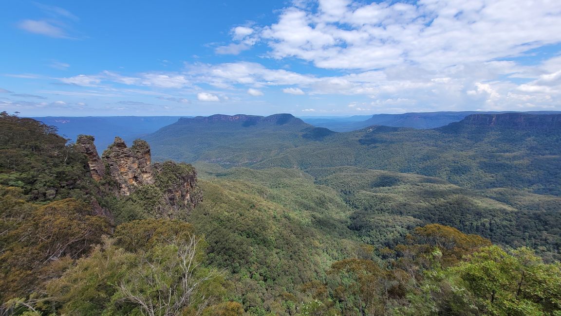 Blue Mountains – Eukalyptusbäume locken nicht nur Koalas an