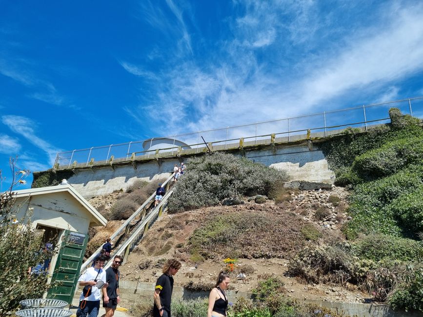 Californie 2025, Jour 9, Pier 39, Alcatraz, Chinatown et Lombard Street