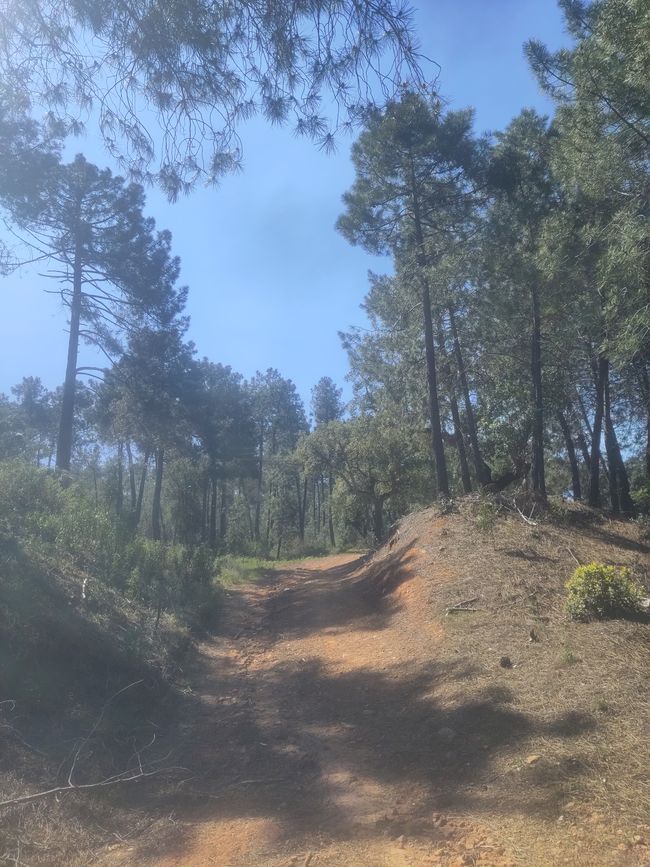 und immer weiter auf der Via de la Plata...