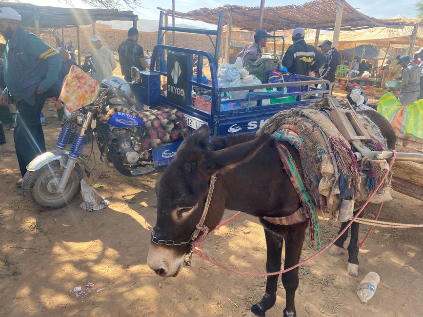 The donkey cart in the foreground and its modern successor