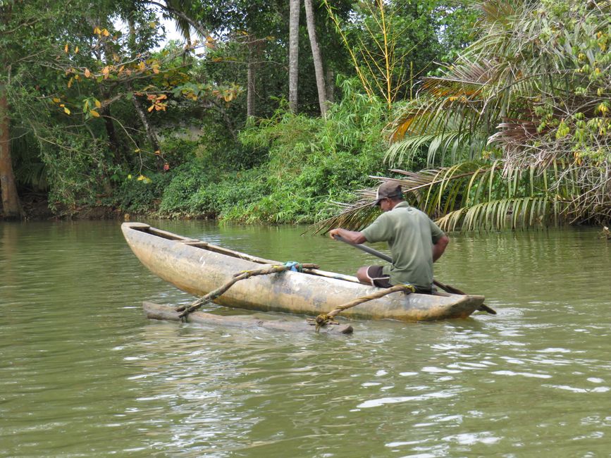 Matara - Mauvais temps, pas de baleines, mais des Salties (crocodiles d'eau salée)