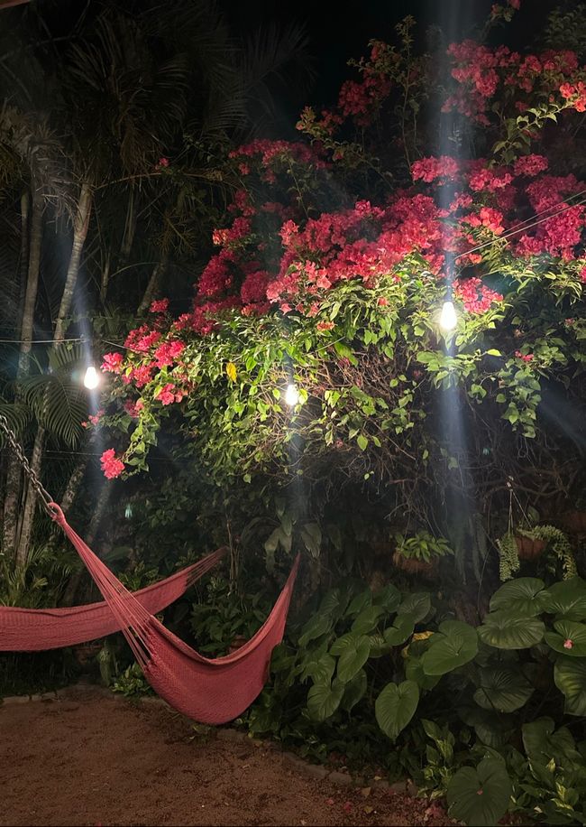 Costa Rica 🇨🇷 
