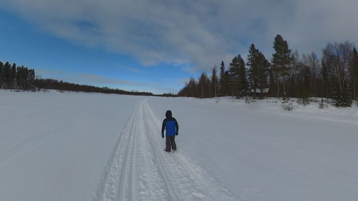 Day 10 Winter Wonderland & sleigh fun in Ivalo