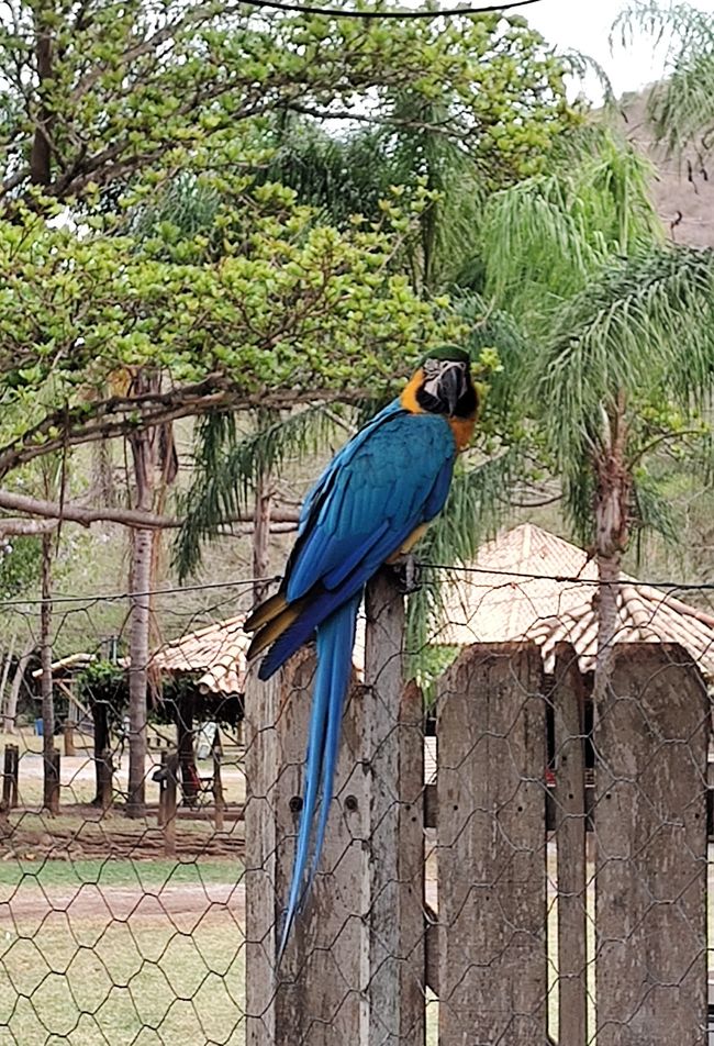 Refugio Canaa Brasil