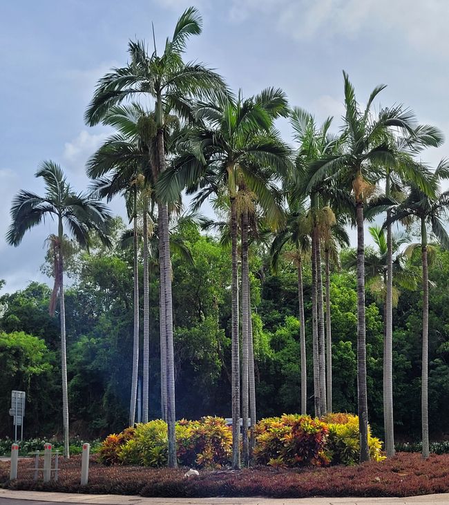 Tag 107: Darwin/Australien