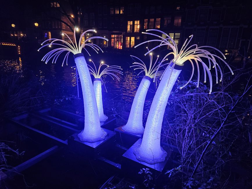 Korallen-Luminanz - Fragile Korallenpolypen verblassen, von Henry Hu