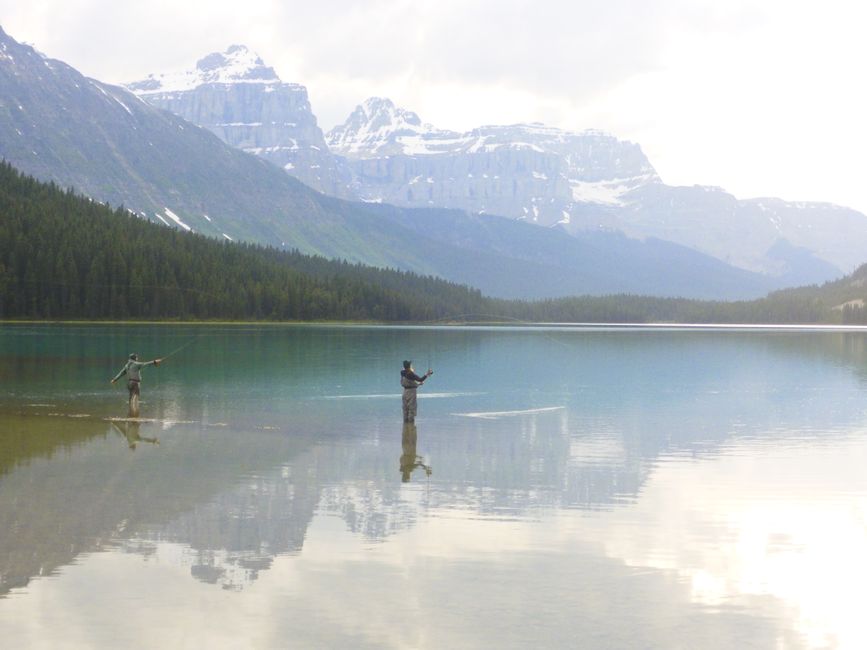 2025-06-19 sur l'Icefields Parkway de Jasper à Lake Louise, CA