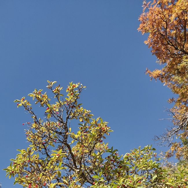 Wanderung im Ala-Artscha-Nationalpark