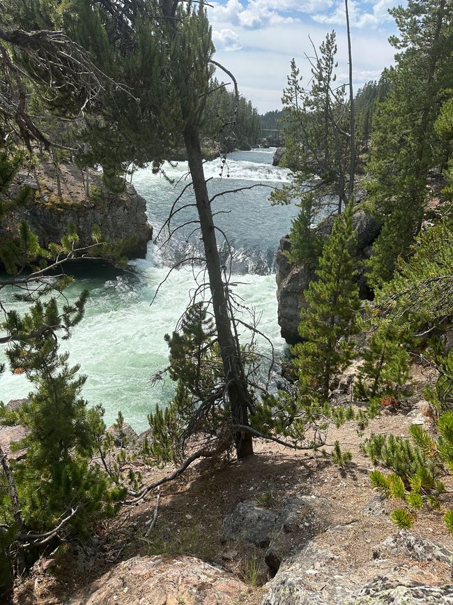 Wyoming: Yellowstone Parte 1