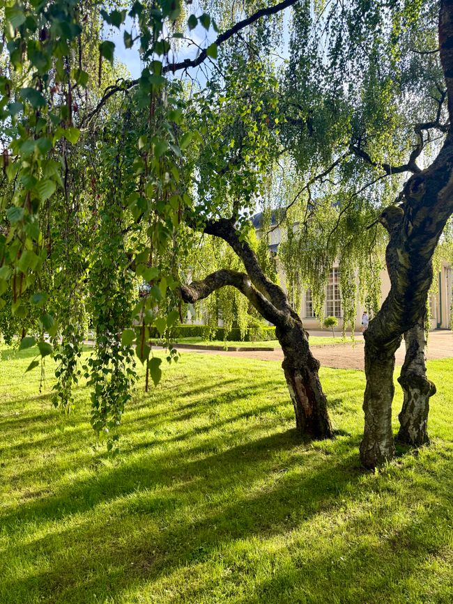 📍Franzensbad, Czech Republic