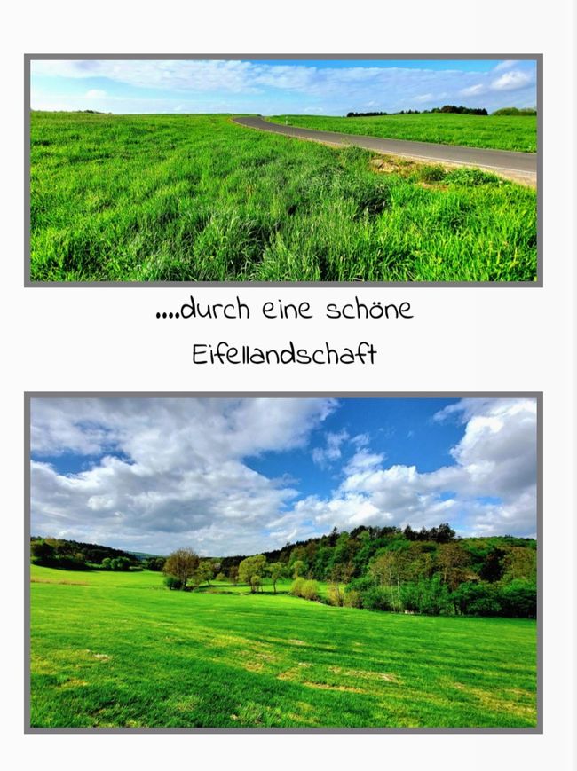 Not only fly fishing at the Kyll/Eifel