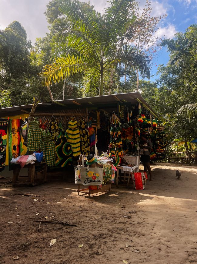 Maravilla azul de Jamaica en Ocho Rios 🩵