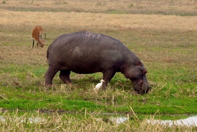 Bwabwata National Park