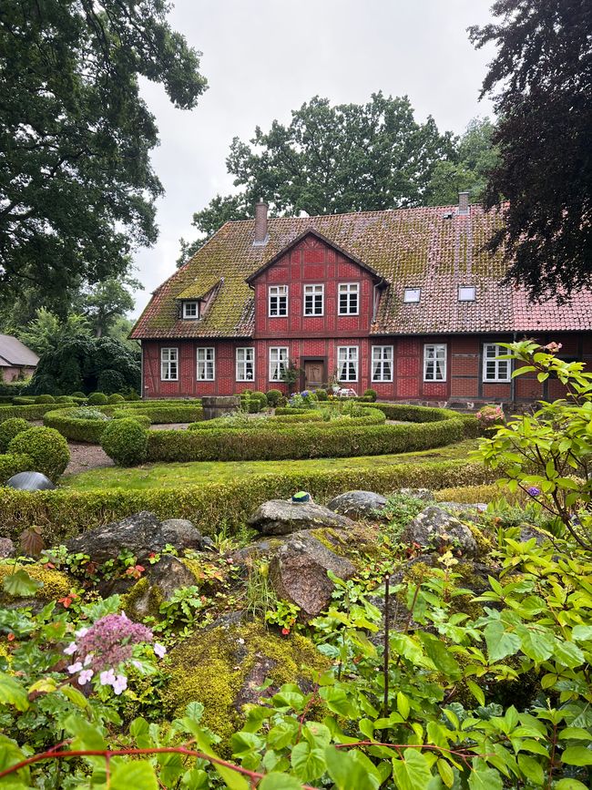 First Spaghetti Ice Cream