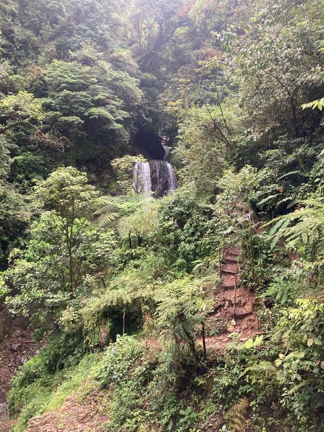 Monteverde