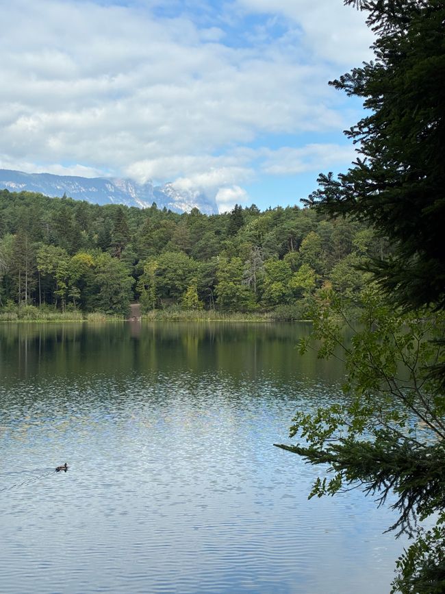 Montiggler See