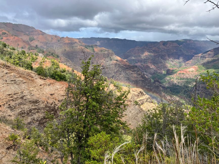 D19 - Yoga, Running and hiking Kukui trail in Waimea canyon with some surprises