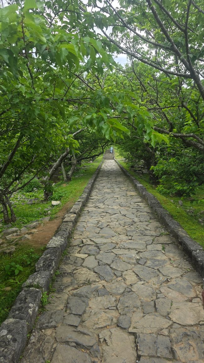 Okinawa Nuchi du takara (La vita è ciò che ci sta a cuore)