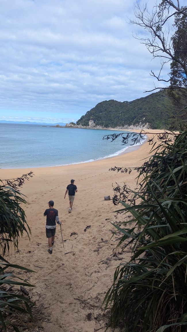 Abel Tasman mit Jonny und Paula