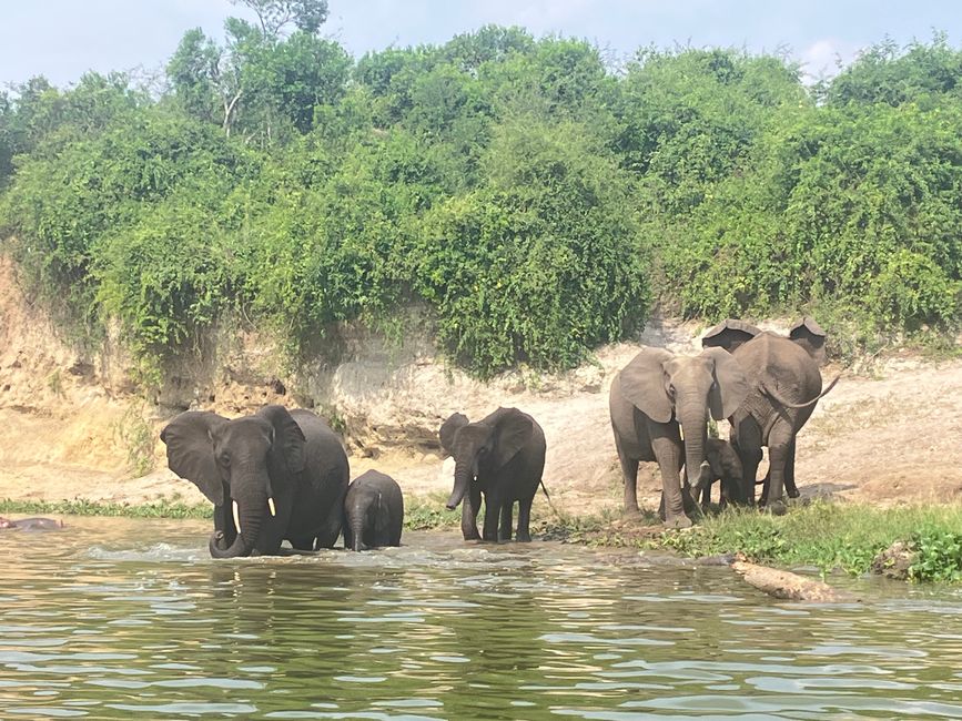Queen Elizabeth Nationalpark