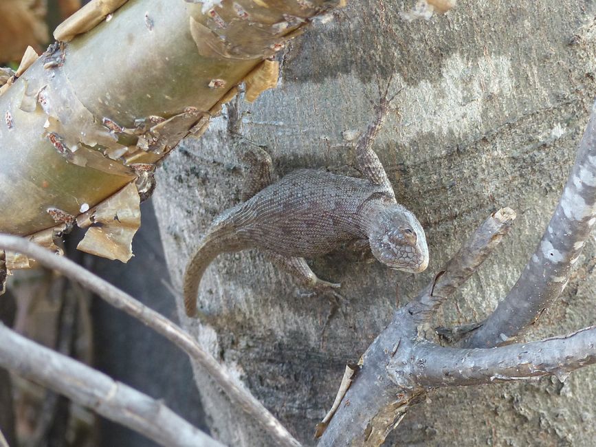 Brazil, Diamond National Park Part II