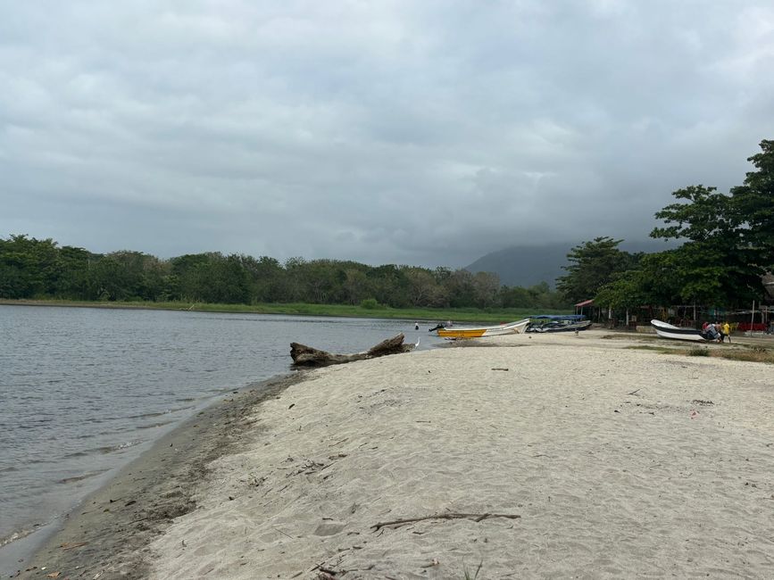 Settimana 16: Santa Marta