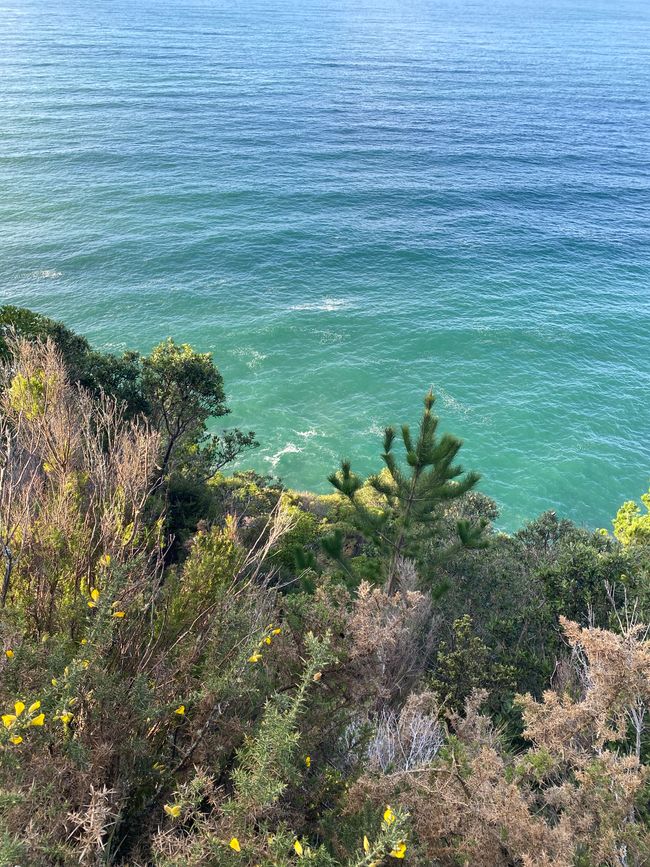 Coromandel loop