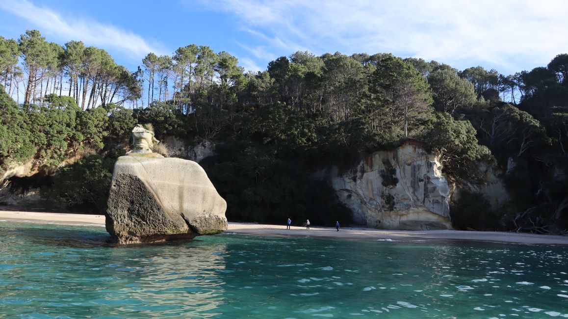 Bootstour entlang der Küste von Whitianga bis zur Cathedral Cove