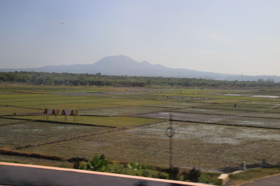 Tag 6: In treno attraverso il Centro Giava