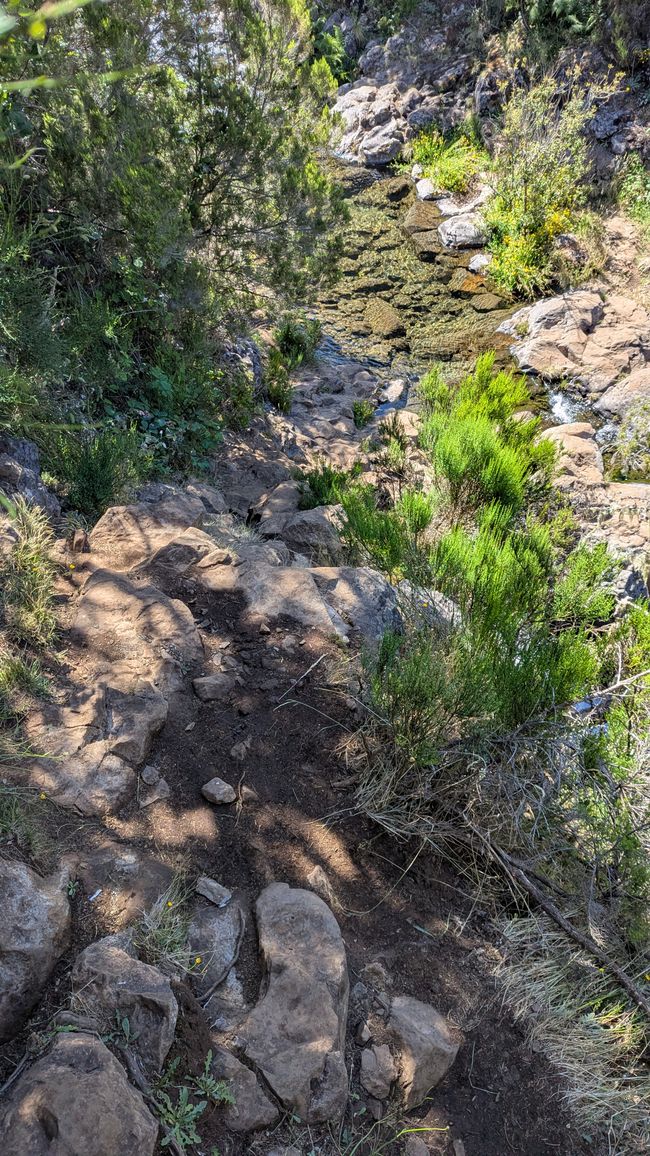 Tag 11: Levada do Alecrim und ein Open Air Festival