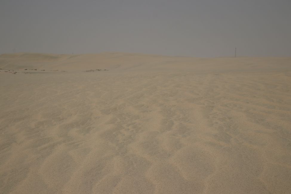 Etiqueta 23: En camino en Doha y el desierto